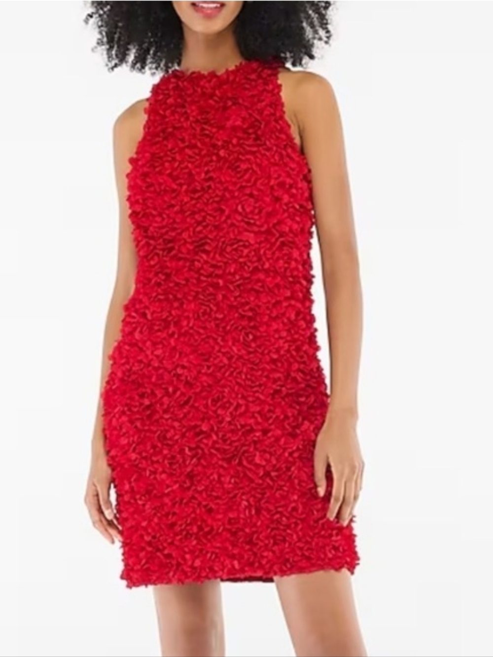 J. Crew Factory - Red Rosette Floral Appliqué Mini Dress - 4